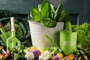 Winter Vegetable Salad Recipe