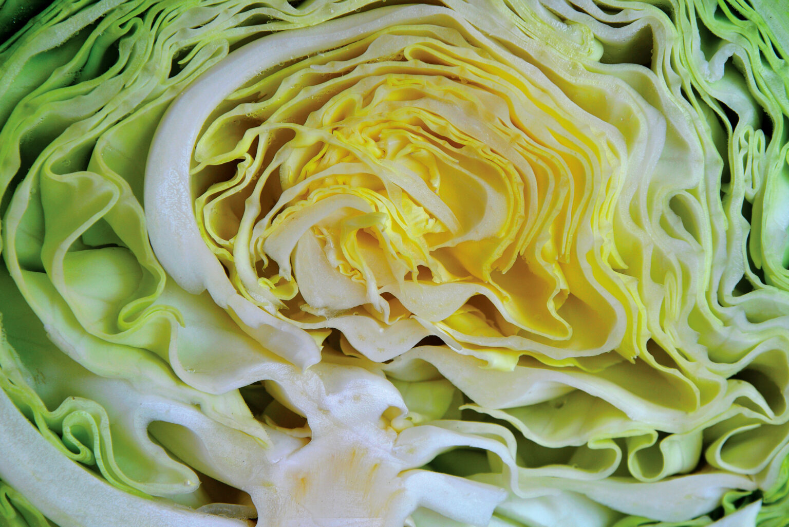 Roasted Cabbage & Onions - Community Cancer Center
